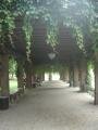 Downtown, Mannheim, Almanya, Avrupa