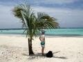 Small palm tree on the beach, Baby Beach, Aruba, America