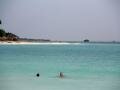 Swimmers, Druif Beach, Aruba, America
