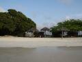 The Mill Resort part beach, Palm Beach, Aruba, America