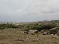 View of the sea from the chapel, Chapel of Alto Vista, Aruba, America