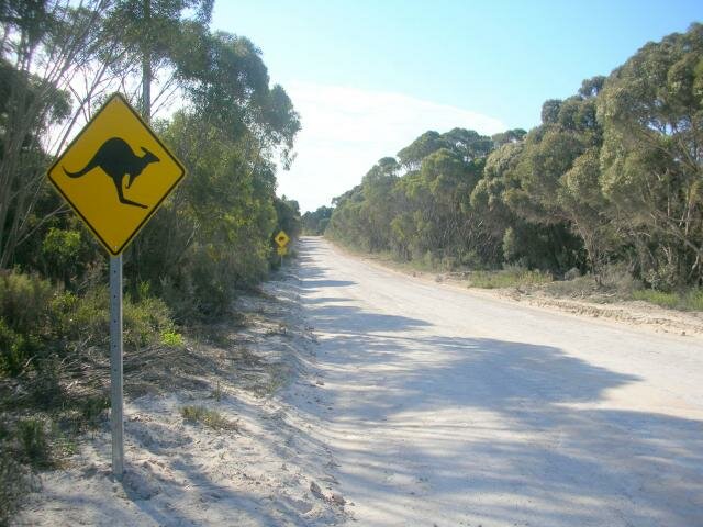 Foto 6760: A road on Kangaroo Island