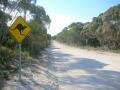 Фото 6760: A road on Kangaroo Island