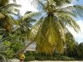 Almond Beach Club and Spa