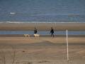 Stroll on the beach..., De Panne, เบลเยี่ยม, ยุโรป