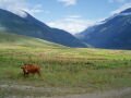 The countryside and of the dishes! Right before arriving at the boat, Tiger Leaping Gorge-Lijiang, الصين, آسيا
