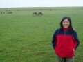 The steppes (Caoyuan) of Chinese Mongolia towards Huitenggeer , Hohhot, סין, אסיה
