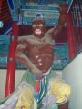 Ảnh 1632: Guard of the temple of Shaolin 