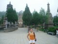 Shaolin Talin (forest of pagodas) , Chùa Thiếu Lâm, Trung Quốc, Châu Á