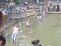 Amusement park of Zhiwuyuan (the botanical garden) , شنيانغ (Botanical garden), الصين, آسيا