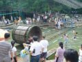 Amusement park of Zhiwuyuan (the botanical garden) , شنيانغ (Botanical garden), الصين, آسيا