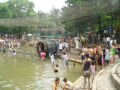 Amusement park of Zhiwuyuan (the botanical garden) , شنيانغ (Botanical garden), الصين, آسيا