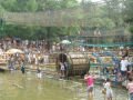 Amusement park of Zhiwuyuan (the botanical garden) , شنيانغ (Botanical garden), الصين, آسيا