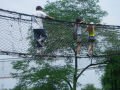 Amusement park of Zhiwuyuan (the botanical garden) , شنيانغ (Botanical garden), الصين, آسيا