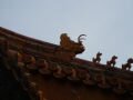 The Forbidden City, בייג'ינג (העיר האסורה), סין, אסיה