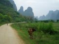 In the surroundings of Yangshuo , Yangshuo, Trung Quốc, Châu Á