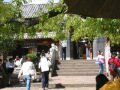 Ảnh 232: Sight since the central place of Lijiang 