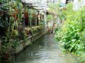 Un des nombreux canaux et voie piétonne de Lijiang