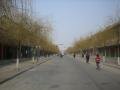 Yanzhao Nandajie street, Zhengding, Trung Quốc, Châu Á