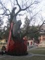inside Dafo or Longxing temple, tree have 800 years old, Zhengding, Trung Quốc, Châu Á