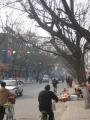 in Zhengding city, Zhengding, Trung Quốc, Châu Á