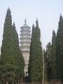 Bailin temple, Zhaoxian, الصين, آسيا