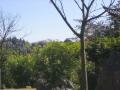 la forêt de pierres, Shilin, จีน, เอเชีย