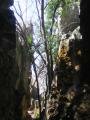 la forêt de pierres, Shilin, الصين, آسيا