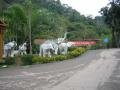 South entrance of the reserve, Sanchahe Nature reserve, Trung Quốc, Châu Á