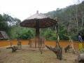 Show of monkeys, Sanchahe Nature reserve, Trung Quốc, Châu Á