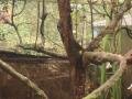 Tropical birds, Sanchahe Nature reserve, Trung Quốc, Châu Á