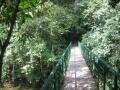 Trail high on wooden bridges, Sanchahe Nature reserve, Trung Quốc, Châu Á