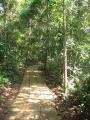 Path in the jungle, Sanchahe Nature reserve, Trung Quốc, Châu Á