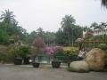 Fish viewing pond in the flowers garden and tropical plants, Jinghong, Trung Quốc, Châu Á
