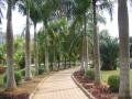 Garden of flowers and tropical plants, Jinghong, Trung Quốc, Châu Á