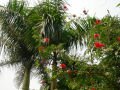 Park of Qingxiu Shan Fengjingqu , Nanning, จีน, เอเชีย