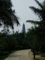 Park of Qingxiu Shan Fengjingqu , Nanning, סין, אסיה