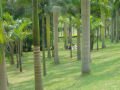 Park of Qingxiu Shan Fengjingqu , Nanning, סין, אסיה