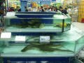Fish, Chinese hypermarket, סין, אסיה