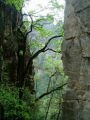 On the mountain lane Huangshizhai close to Zhangjiajié , Zhangjiajie, Trung Quốc, Châu Á