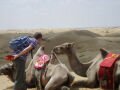 The desert close to Baotou , Baotou, סין, אסיה