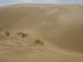 The desert close to Baotou , Baotou, סין, אסיה