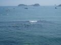 Sight since the beach of Fujiazhuang , داليان, الصين, آسيا