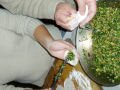 We furnished, we furnished… , Chinese ravioli recipe, סין, אסיה