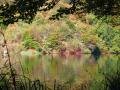 Снимка 8858: Plitvice during automn