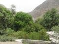 Randa in the region of Tadjoura