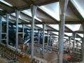 Library of Alexandria 