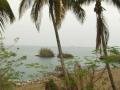 Coconuts in Malabo