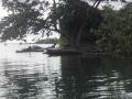 Rio Benito (river)