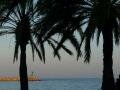 Seaport of Cambrils